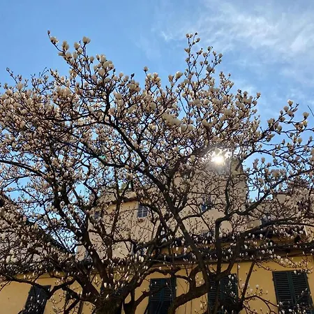 San Pietro Lägenhet